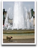 images/Things/5.jpg